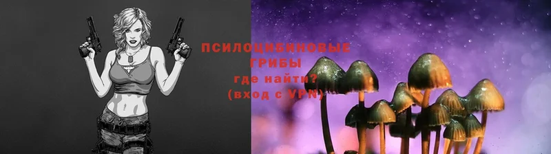 Псилоцибиновые грибы Psilocybine cubensis  MEGA ссылка  Горячий Ключ 